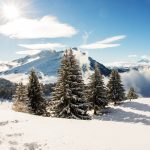 Quelles conditions pour que la neige tienne