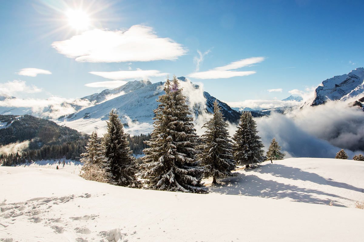 Quelles conditions pour que la neige tienne